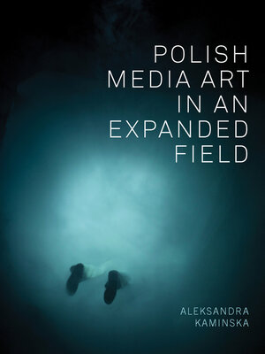 cover image of Polish Media Art in an Expanded Field